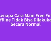 Kenapa Cara Main Free Fire Offline Tidak Bisa Dilakukan Secara Normal