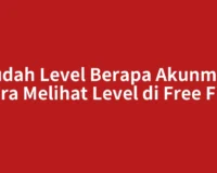 Sudah Level Berapa Akunmu? Cara Melihat Level di Free Fire